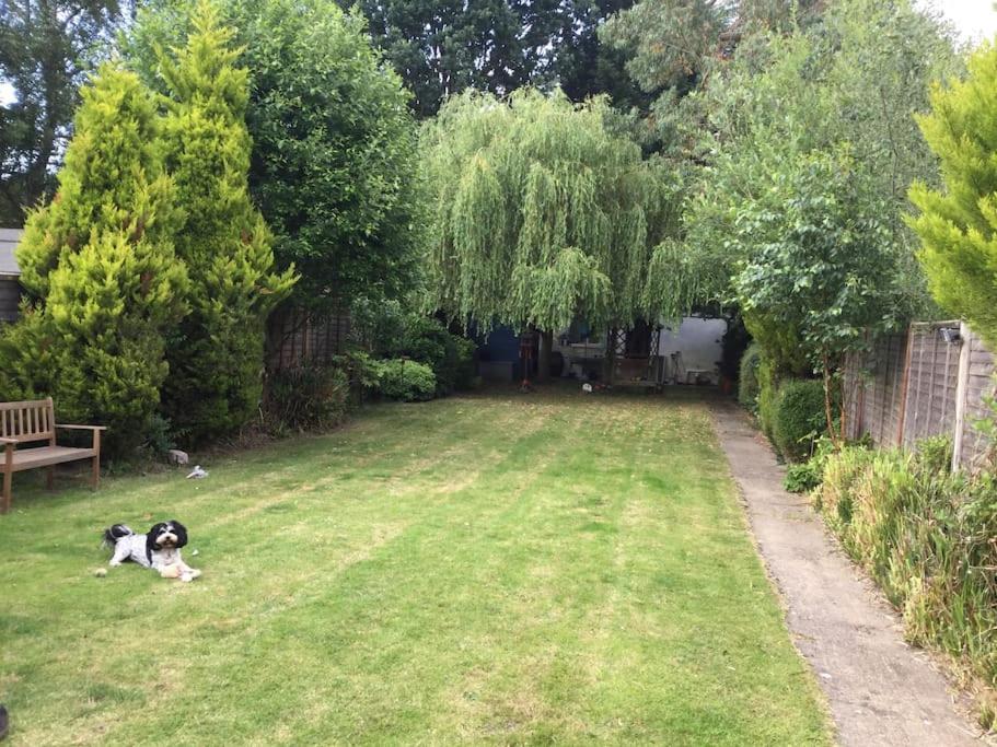 The Studio, Ascot Winkfield Eksteriør bilde